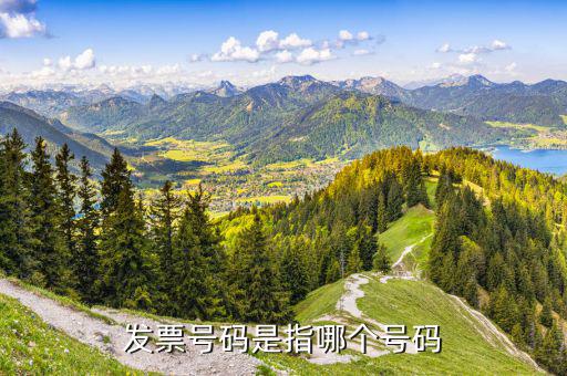 發(fā)票號段是什么意思，發(fā)票號碼是指哪個號碼
