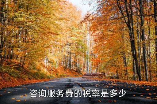 咨詢服務(wù)交什么稅，公司收到一筆咨詢費(fèi)應(yīng)該如何納稅稅率是多少急謝謝