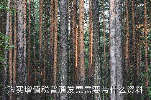 購(gòu)買(mǎi)增值稅普通發(fā)票需要帶什么資料