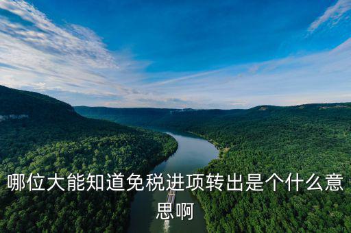 進項轉(zhuǎn)出是什么意思，哪位大能知道免稅進項轉(zhuǎn)出是個什么意思啊