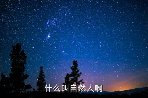 自然人信息包括什么，什么叫自然人啊
