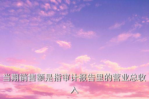 當(dāng)期銷售額是指審計報告里的營業(yè)總收入