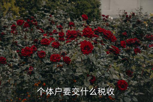 新開個體戶要交什么稅，我想開個小店當(dāng)個體戶請問要交什么稅