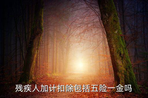 殘疾人加計扣除是什么意思，福利企業(yè)殘疾職工工資百分百加計扣除是怎么回事