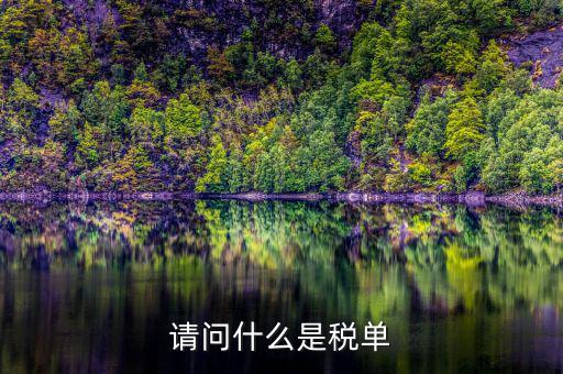 納稅申報單是什么，網(wǎng)上申報納稅都是什么報表 如何操作 簡單么