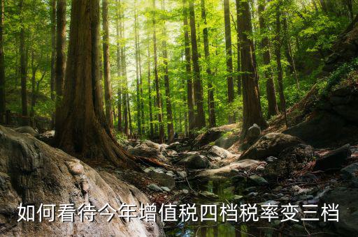 增值稅四檔稅率是什么意思，增值稅發(fā)票開(kāi)四個(gè)點(diǎn)是什么意思