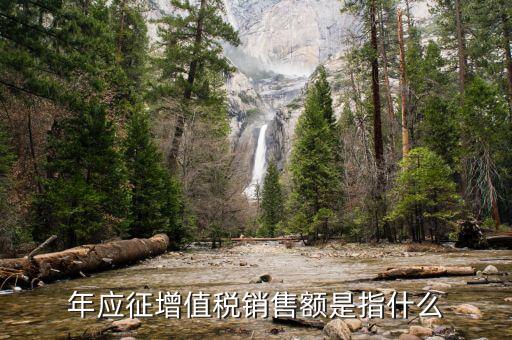 年度應(yīng)征額是什么意思，年應(yīng)征增值稅銷售額是指什么