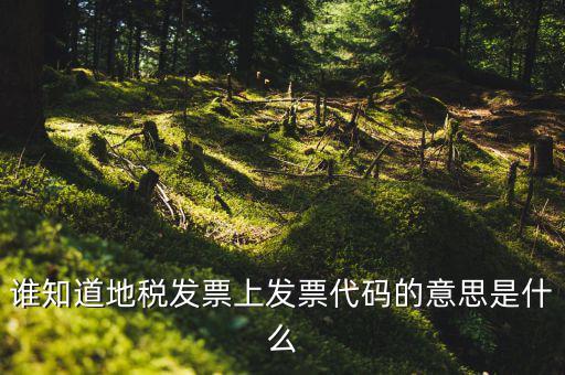 河北地稅發(fā)票的查詢碼是什么意思，如何查詢地稅發(fā)票開票點(diǎn)注冊碼是什么