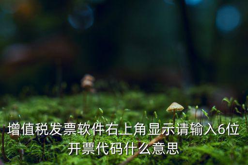 發(fā)票查詢校驗(yàn)碼后六位是什么，發(fā)票驗(yàn)證碼是什麼