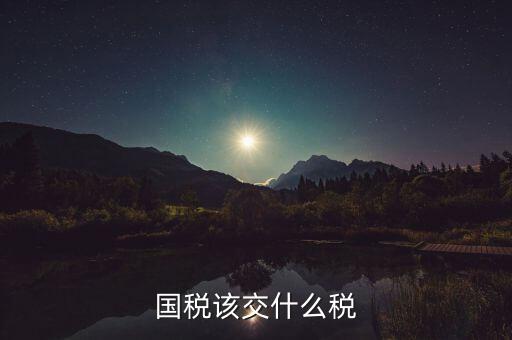 國稅要交什么稅，國稅地稅各交什么稅種