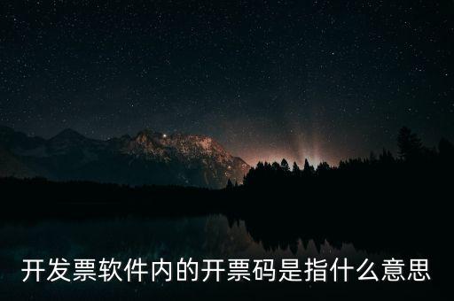 開發(fā)票軟件內的開票碼是指什么意思