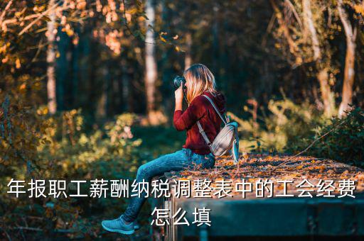 工會(huì)經(jīng)費(fèi)減除項(xiàng)填什么，網(wǎng)上報(bào)稅時(shí)又多了一項(xiàng)工會(huì)經(jīng)費(fèi)怎樣填寫(xiě)計(jì)算