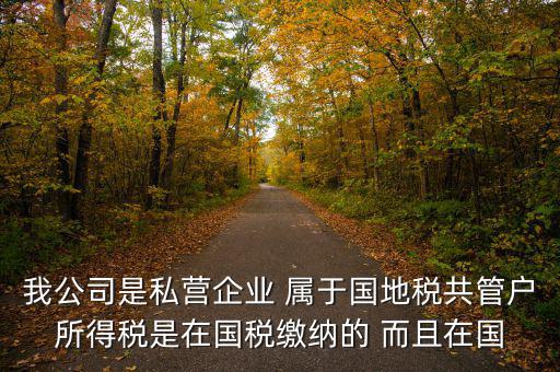 國地共管需要叫什么稅，國稅地稅共管公司都需要每個月報稅嗎意思就是說我每個月地稅