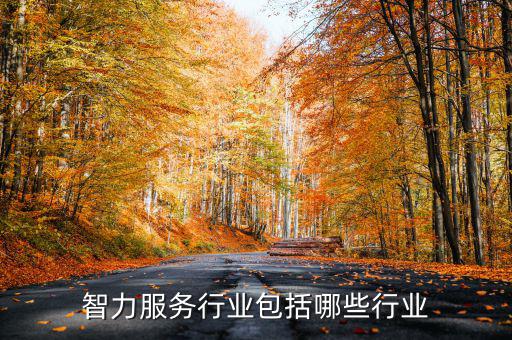 涉稅專業(yè)服務(wù)機(jī)構(gòu)包括什么，智力服務(wù)行業(yè)包括哪些行業(yè)
