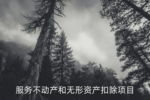 扣除項目 5什么意思，新個稅六項專項扣除是什么意思