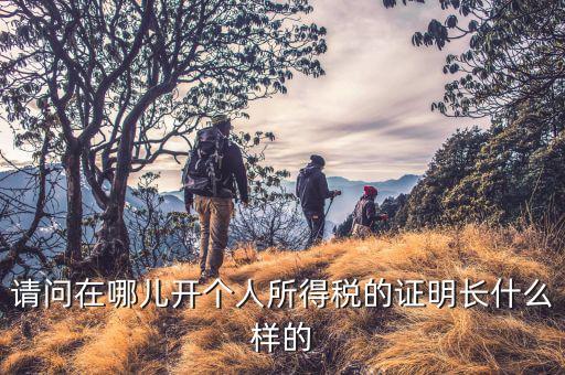 請(qǐng)問在哪兒開個(gè)人所得稅的證明長什么樣的