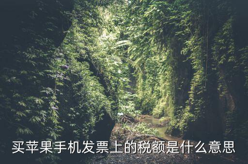 發(fā)票上的稅額是什么意思，買蘋果手機(jī)發(fā)票上的稅額是什么意思