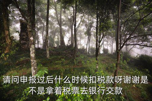 請問申報(bào)過后什么時候扣稅款呀謝謝是不是拿著稅票去銀行交款