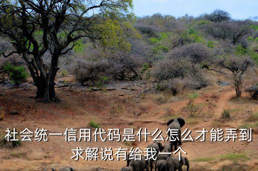 單位統(tǒng)一社會(huì)信息用代碼是什么，統(tǒng)一社會(huì)信用代碼9至17位