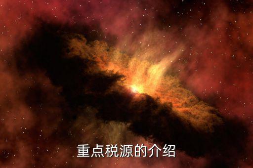 為什么要上報(bào)重點(diǎn)稅源，重點(diǎn)稅源的介紹