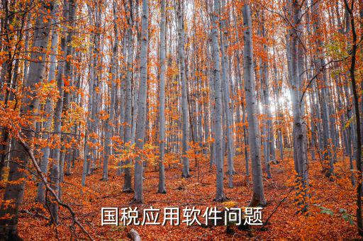 國稅發(fā)票助手是什么，國稅應(yīng)用軟件問題