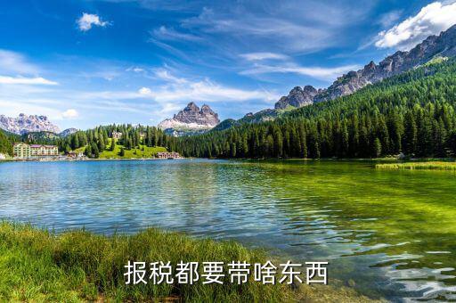 申報(bào)繳稅帶什么，報(bào)稅都要帶啥東西