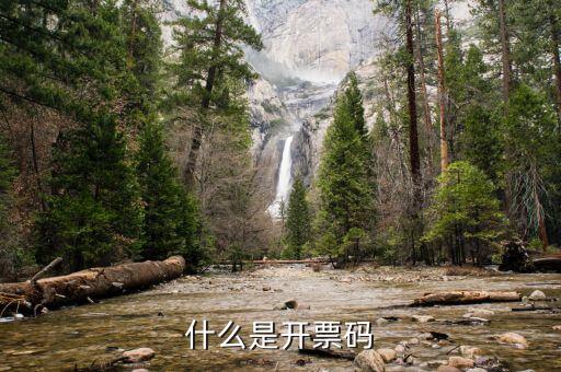 離線開(kāi)票認(rèn)證碼是什么，國(guó)稅機(jī)打發(fā)票驗(yàn)證碼是什么機(jī)打發(fā)票的軟件需要指定公司安裝嗎