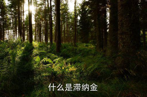 稅務局的滯納金是什么，個人所得稅滯納金是什么阿我交稅得單子上有