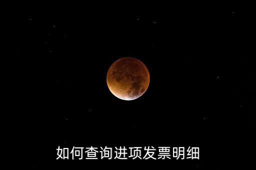 如何查詢進(jìn)項發(fā)票明細(xì)