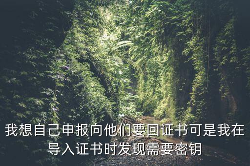 報稅為什么要用到密鑰，我想自己申報向他們要回證書可是我在導入證書時發(fā)現(xiàn)需要密鑰