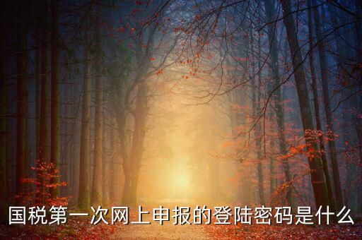 國稅申報登陸密碼是什么，國稅第一次網上申報的登陸密碼是什么