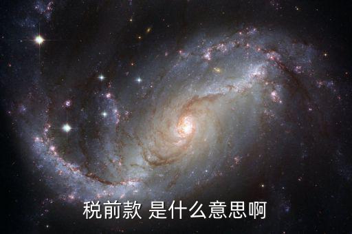 稅前金額是什么意思，稅前款 是什么意思啊