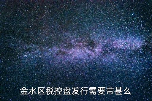 發(fā)行金稅盤需要帶什么資料，要去國稅發(fā)行購買完金稅盤和報(bào)稅盤需要帶哪些材料