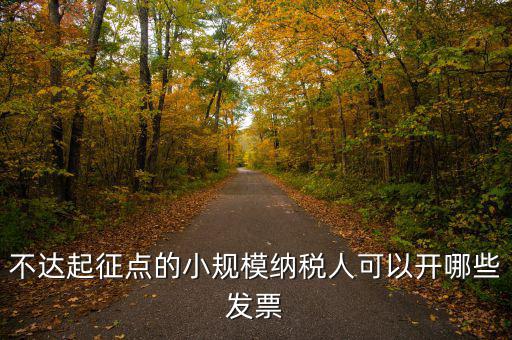 小規(guī)模納稅人能使用什么發(fā)票，建筑類小規(guī)模納稅人購(gòu)買什么發(fā)票