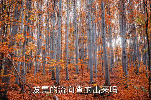 發(fā)票流向是什么意思，國稅發(fā)票怎么查流向