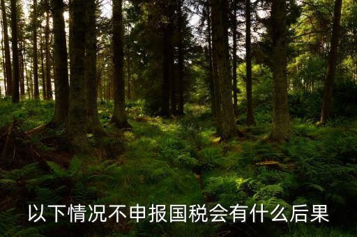 以下情況不申報(bào)國稅會(huì)有什么后果