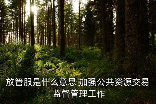 國稅放管服什么意思，放管服是什么意思 加強(qiáng)公共資源交易 監(jiān)督管理工作