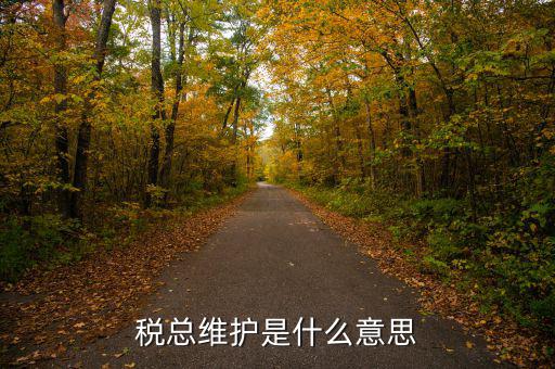 涉稅軟件維護(hù)費(fèi)是什么東東，稅總維護(hù)是什么意思