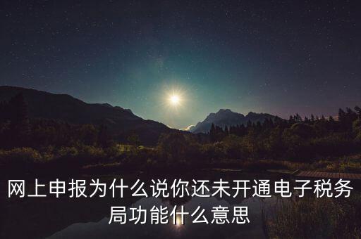 電子稅務(wù)局是干什么，企業(yè)金稅盤(pán)系統(tǒng)用來(lái)開(kāi)票抄稅報(bào)稅用那登錄國(guó)稅地稅局網(wǎng)站是干嘛的
