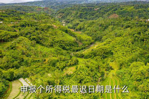 申報(bào)個所得稅最遲日期是什么
