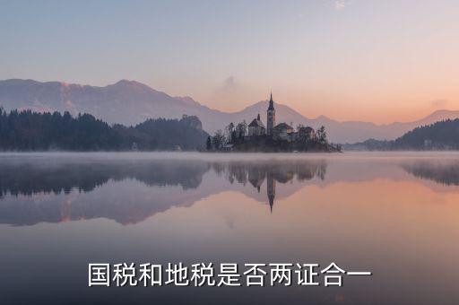 國稅的兩證合一是什么意思，國稅和地稅是否兩證合一