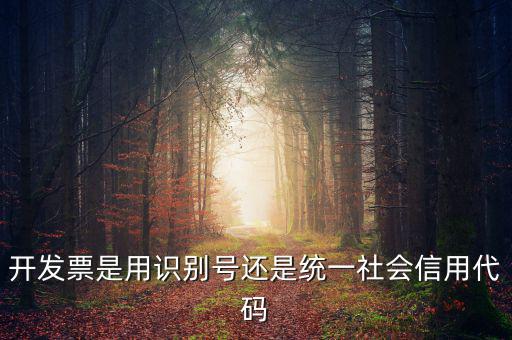 發(fā)票填寫統(tǒng)一社會(huì)代碼是什么，開發(fā)票要的稅號(hào)是統(tǒng)一社會(huì)代碼證號(hào)嗎