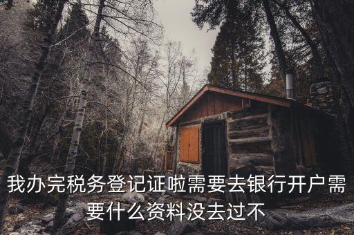 稅務(wù)登記以后需要什么資料，辦理稅務(wù)登記證都需要提供什么資料