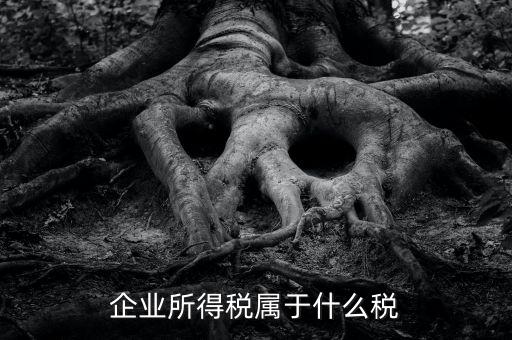 企業(yè)所得稅是什么稅，所得稅包括什么稅