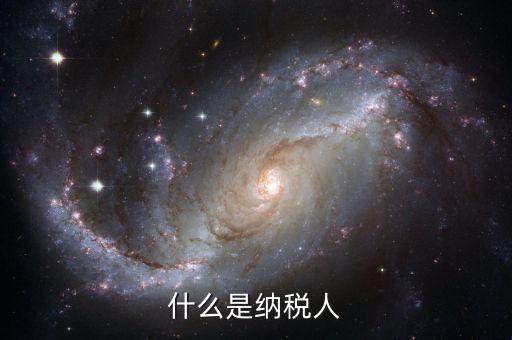 納稅人信息指的是什么，開票票具一直提示請核實(shí)納稅人信息是什么意思