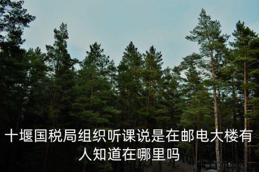 十堰國(guó)稅六辦指什么地方，十堰國(guó)稅局組織聽(tīng)課說(shuō)是在郵電大樓有人知道在哪里嗎