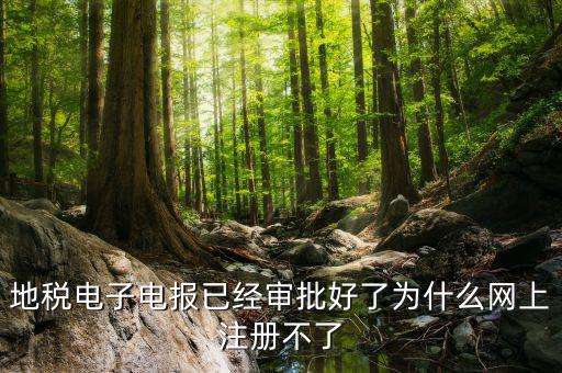 河地稅網(wǎng)上辦稅為什么注冊不了，地稅網(wǎng)上打印報(bào)表提示沒有注冊要怎么注冊呢