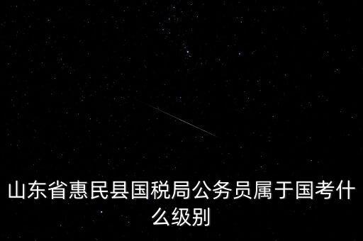 惠民國稅局在什么地方，國稅局在哪里