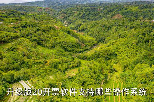 開票軟件適用什么系統(tǒng)，有沒有適合電商用的發(fā)票處理系統(tǒng)