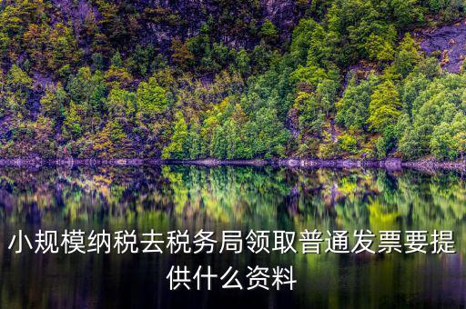 小規(guī)模納稅去稅務局領取普通發(fā)票要提供什么資料